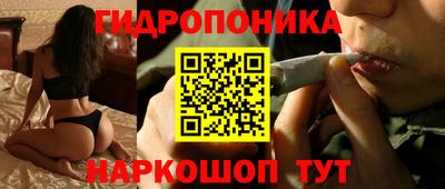 альфа пвп Заводоуковск