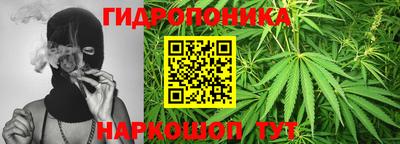 альфа пвп Заводоуковск